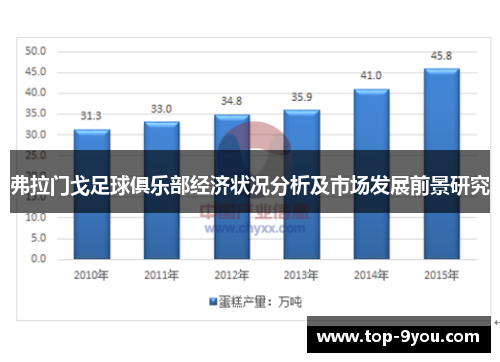 弗拉门戈足球俱乐部经济状况分析及市场发展前景研究