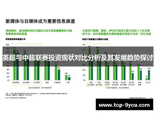 英超与中超联赛投资现状对比分析及其发展趋势探讨