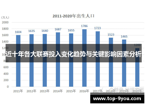 近十年各大联赛投入变化趋势与关键影响因素分析