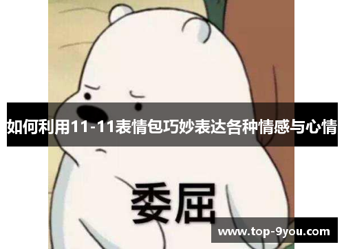 如何利用11-11表情包巧妙表达各种情感与心情