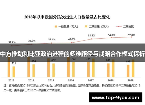 中方推动利比亚政治进程的多维路径与战略合作模式探析